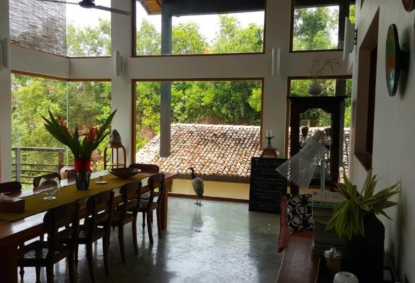 Fotos del hotel Highland Villa:  20