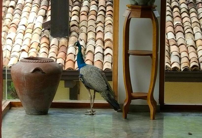 Fotos del hotel Highland Villa:  10