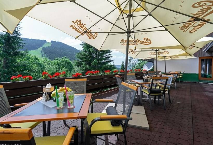 Fotos del hotel Park Harrachov:  6