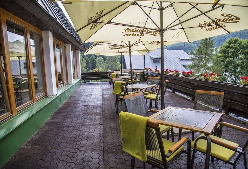 Fotos del hotel Park Harrachov:  12