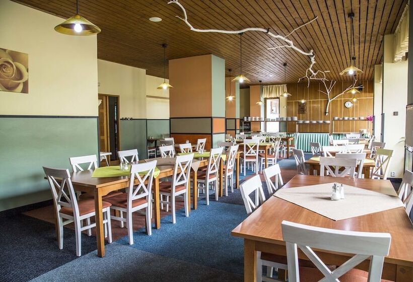 Fotos del hotel Park Harrachov:  9