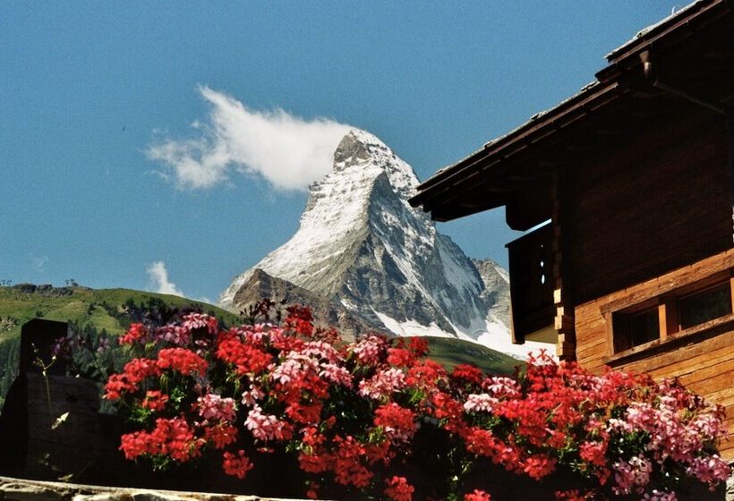 Fotos del hotel Mountain Paradise:  4