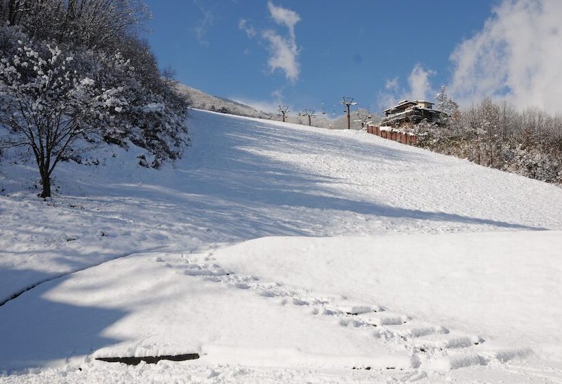 Fotos del hotel Bonfire:  8