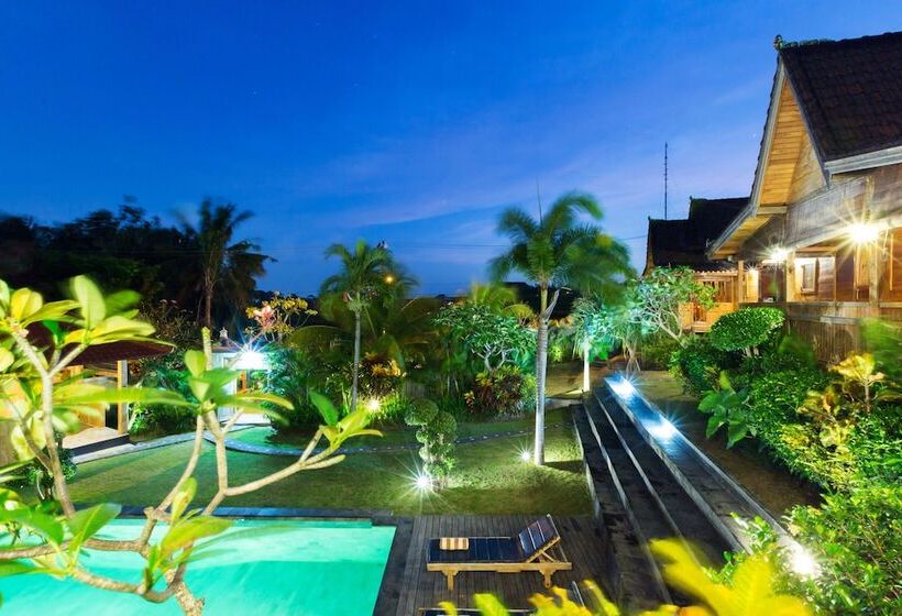 Fotos del hotel Dawas Villa:  22