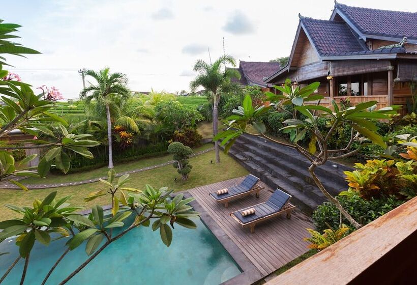 Fotos del hotel Dawas Villa:  21