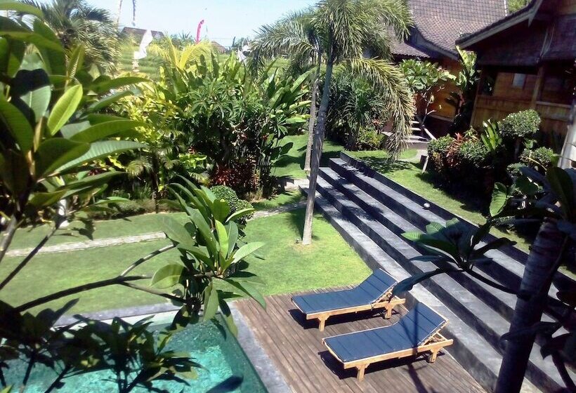 Fotos del hotel Dawas Villa:  25