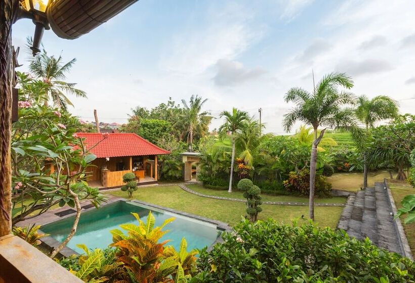 Fotos del hotel Dawas Villa:  23