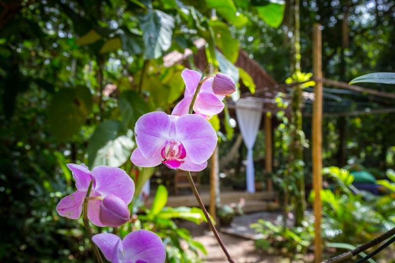 Fotos del hotel Pouso Vivenda Da Mata:  23