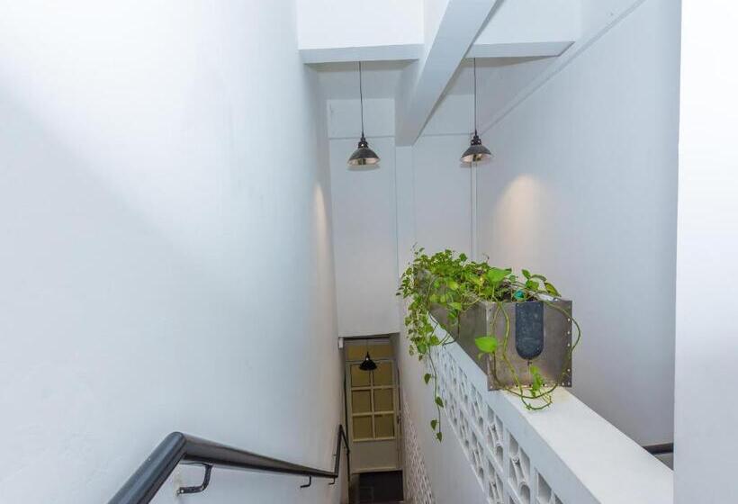 Fotos del hotel White Loft:  6