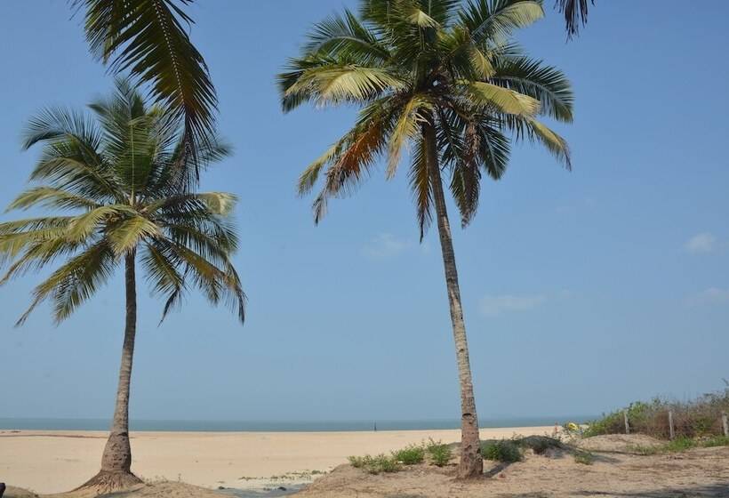 Fotos del hotel Betelnut Inn Mrkt By Splenor:  16