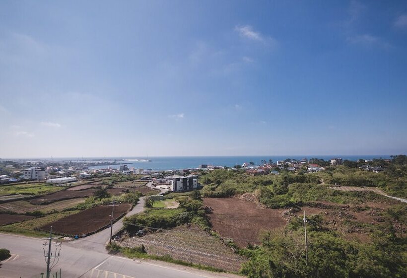 Fotos del hotel Sally S Jeju:  15