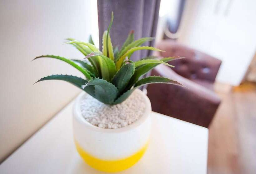 Fotos del hotel New National Hotel And Conference:  7