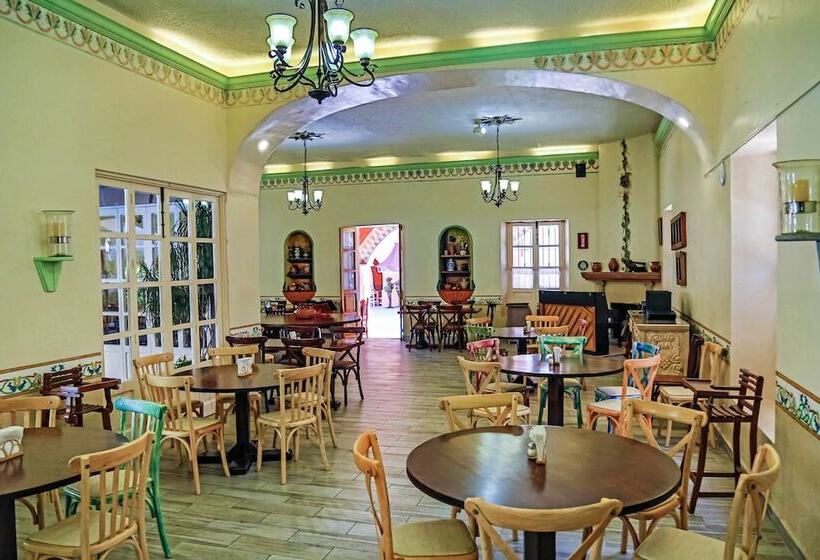 Fotos del hotel La Plaza De Tequisquiapan:  18