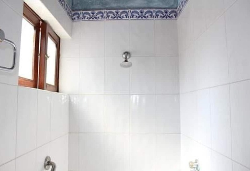 Fotos del hotel La Plaza De Tequisquiapan:  21