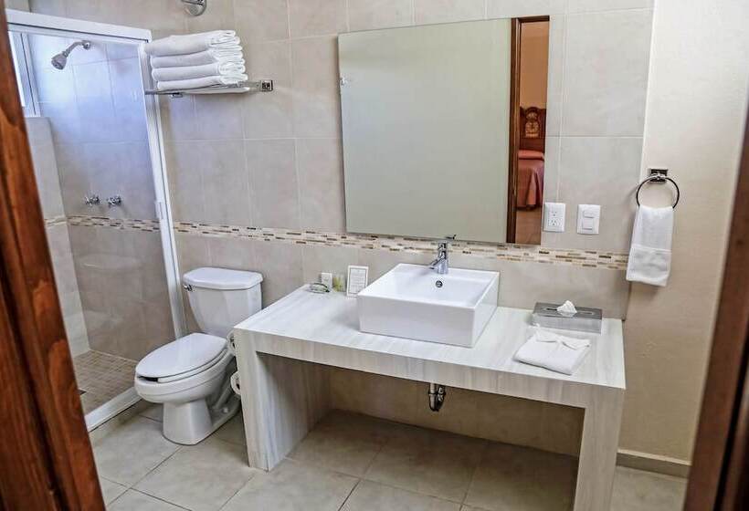 Fotos del hotel La Plaza De Tequisquiapan:  14