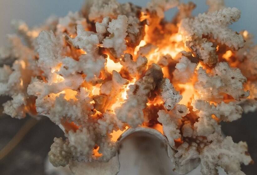 Fotos del hotel 18arts:  15