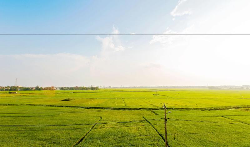 Fotos del hotel Terrace Villa Hoi An:  10