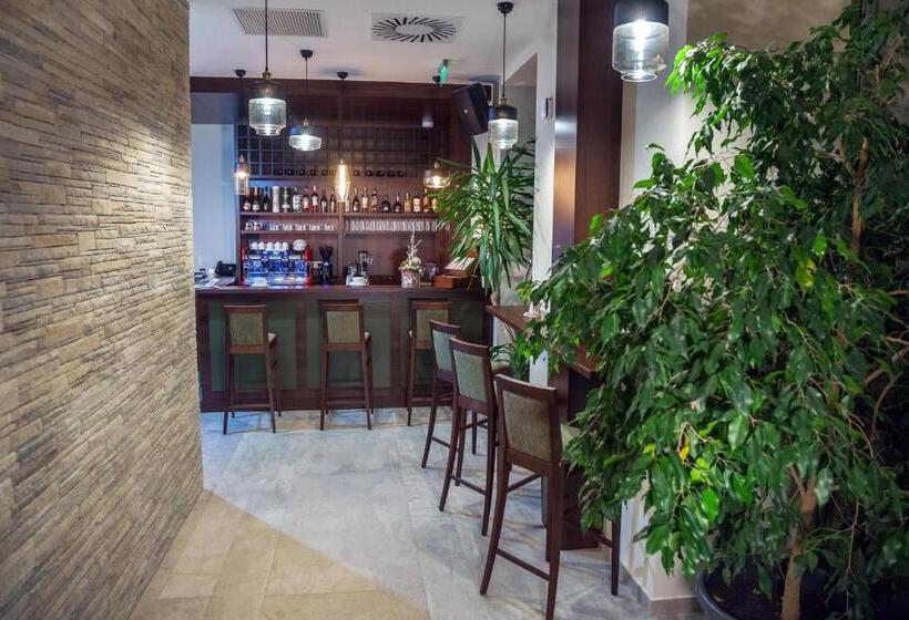 Fotos del hotel Victoria Bulevard:  11