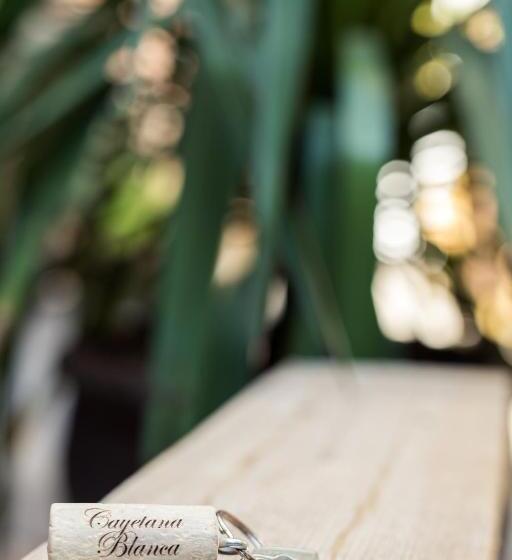 Fotos del hotel Boutique Hotel Zies:  17