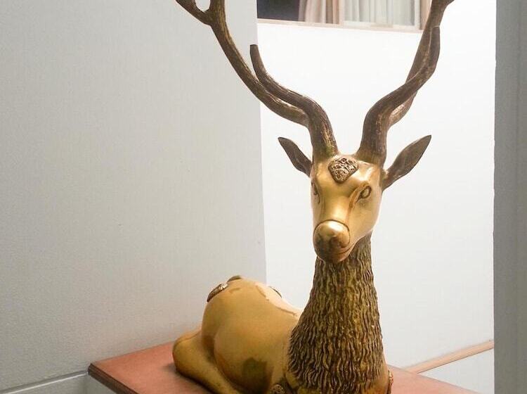 Fotos del hotel Center:  6