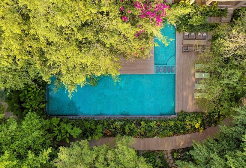 An Lam Retreats Saigon River