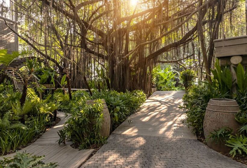 Fotos del hotel An Lam Retreats Saigon River:  10