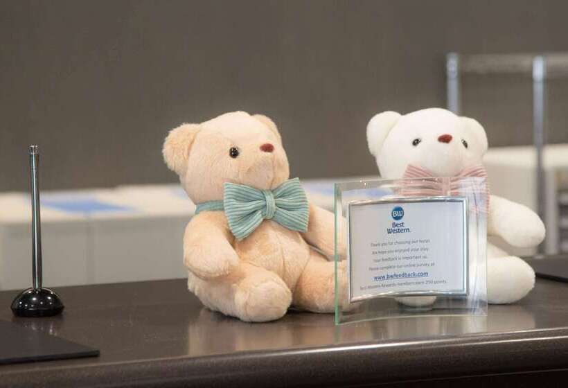 Fotos del hotel Best Western Osaka Tsukamoto:  8