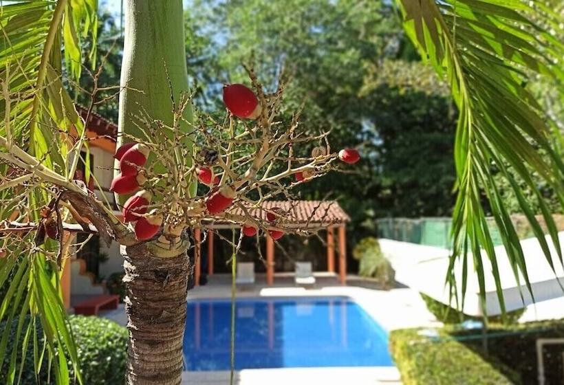 Fotos del hotel J.B Hotel:  10