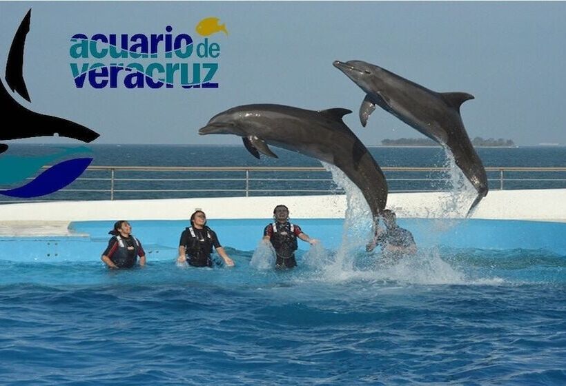 Fotos del hotel B&b Boca Del Rio:  3