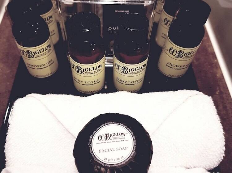 Fotos del hotel Pullman Brisbane Airport:  14