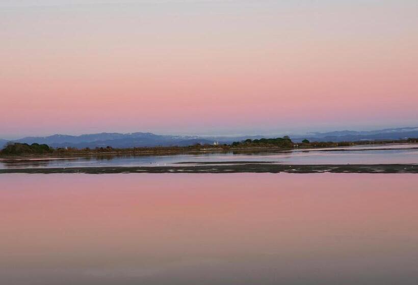 Fotos del hotel Antares:  11