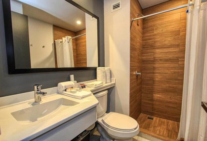 Fotos del hotel Bedford:  10