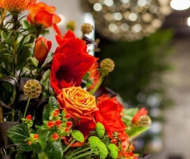 Fotos del hotel Platinia:  10