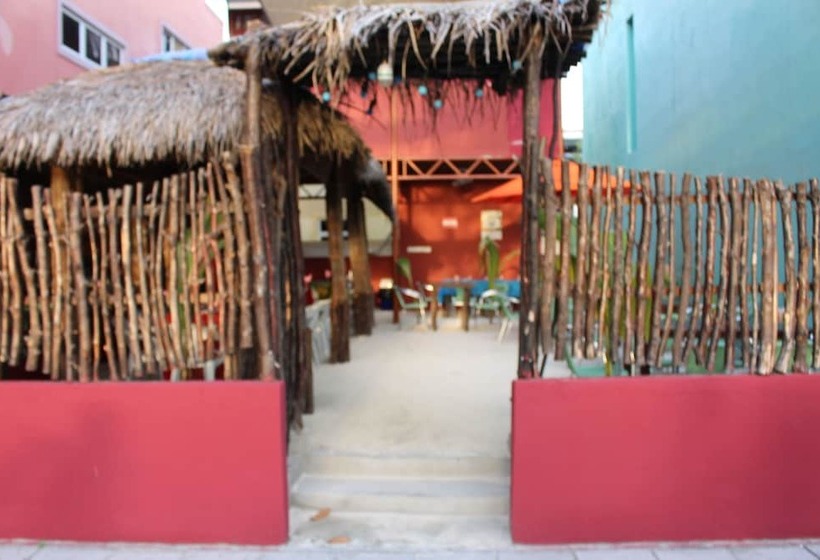 Fotos del hotel Dream Relax:  19