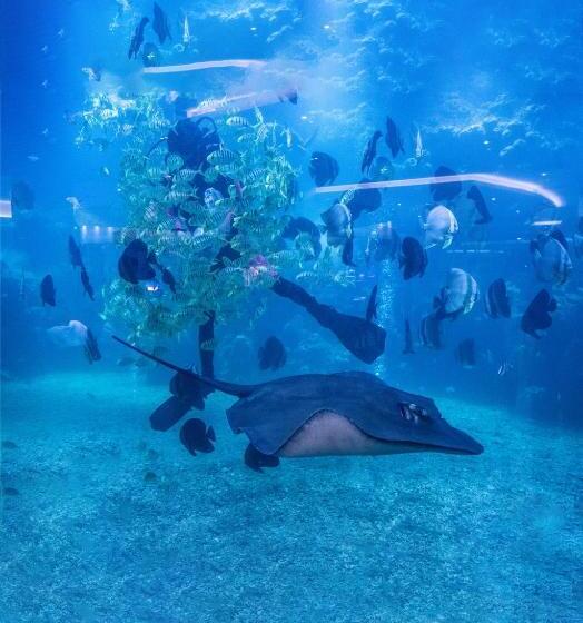 Fotos del hotel Palace Resort Yalong Bay Sanya:  6