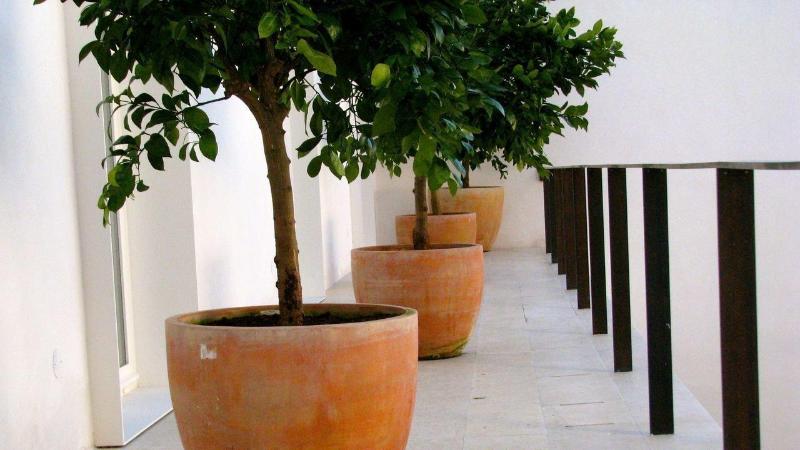 Fotos del hotel The Late Birds Lisbon  Gay Urban Resort:  4