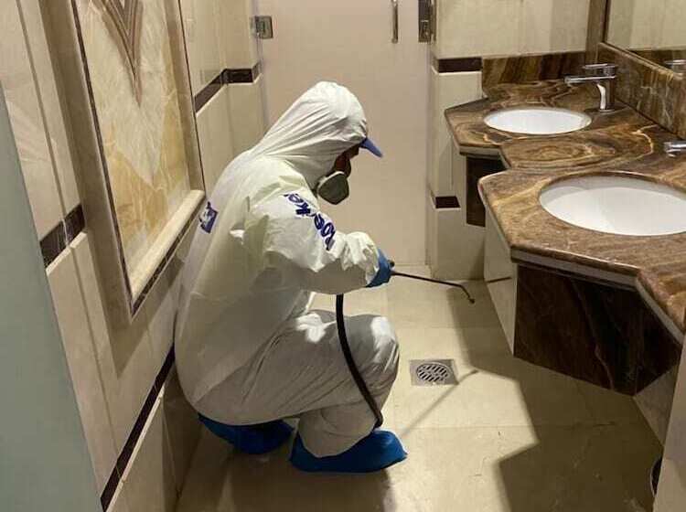 Fotos del hotel Crown Town:  3