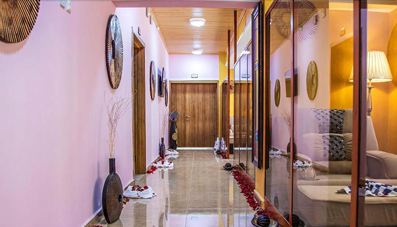 Fotos del hotel Sapphire Addis:  4