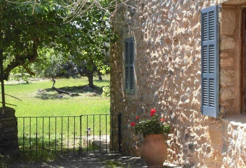 Fotos del hotel Agroturismo Na Set Centes:  12