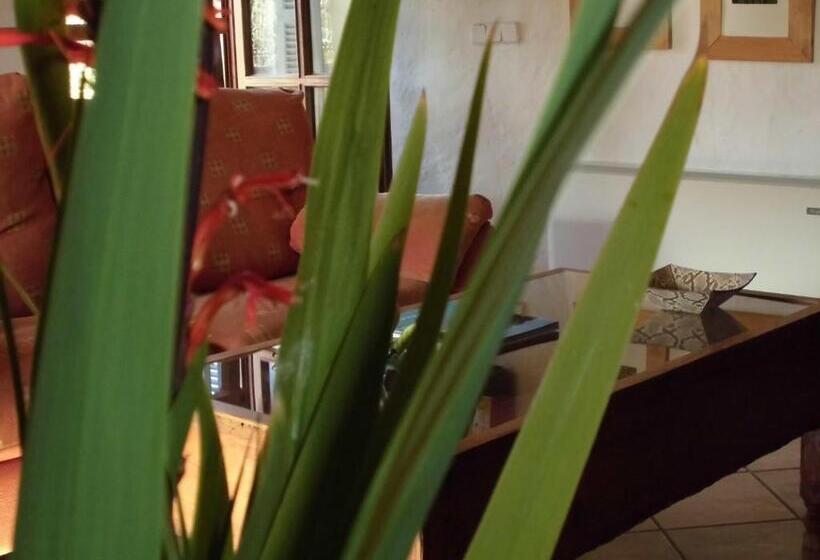 Fotos del hotel Agroturismo Na Set Centes:  8