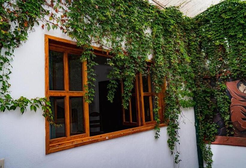 Fotos del hotel El Fraile:  14