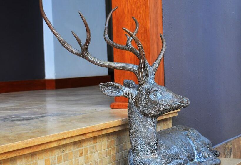 Fotos del hotel Mama Cuchara By Art S:  7