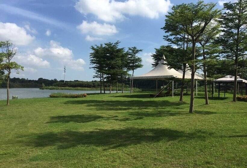 Fotos del hotel Silver World Hotels Resorts:  23