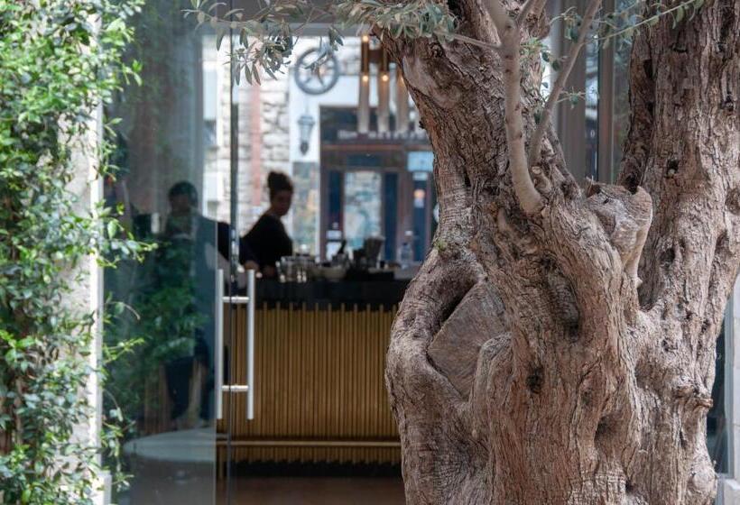 Fotos del hotel S Paul City:  5