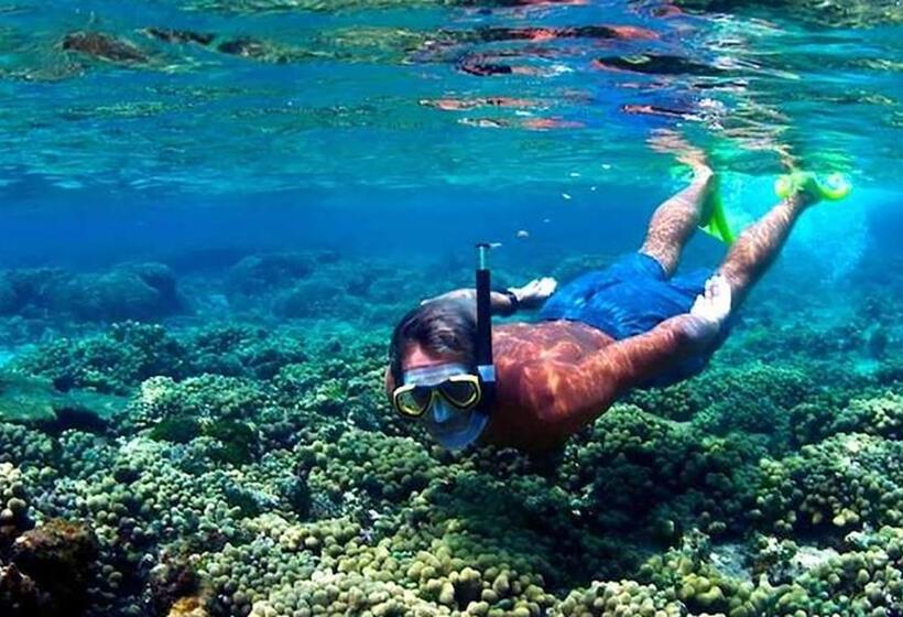 Fotos del hotel Galle Cemellia:  18