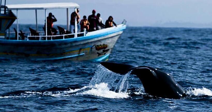 Fotos del hotel Galle Cemellia:  14