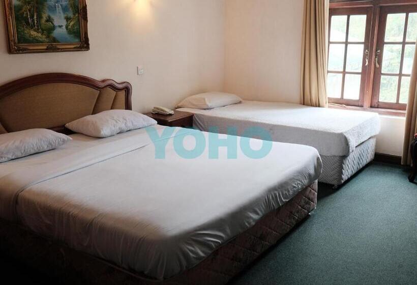 Fotos del hotel Alpine:  21