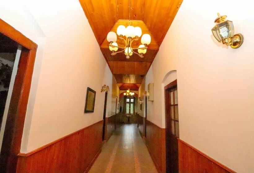 Fotos del hotel Alpine:  3