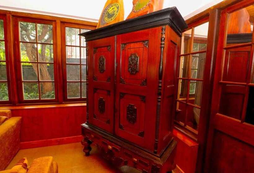 Fotos del hotel Alpine:  11