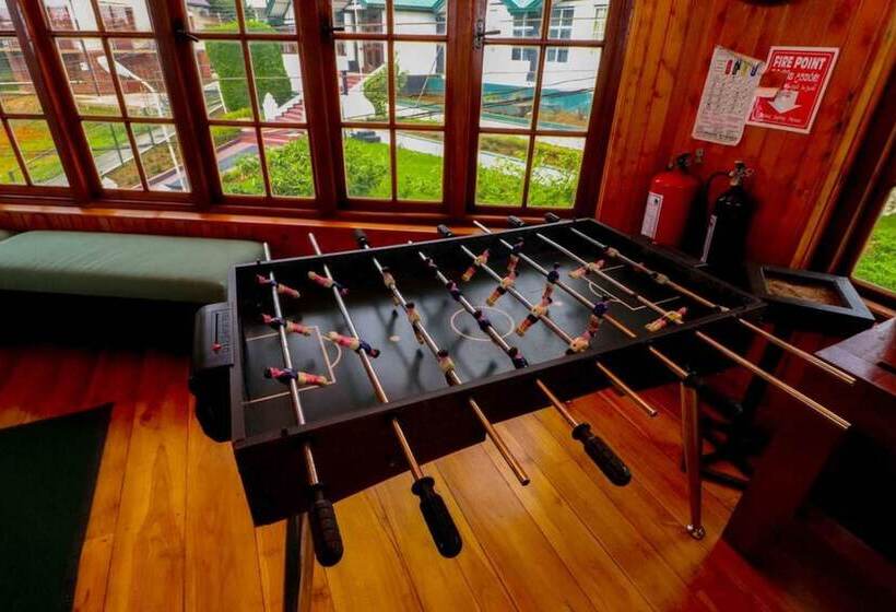 Fotos del hotel Alpine:  13